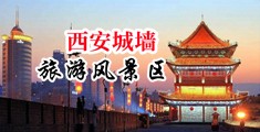 嗯啊啊啊射了视频中国陕西-西安城墙旅游风景区